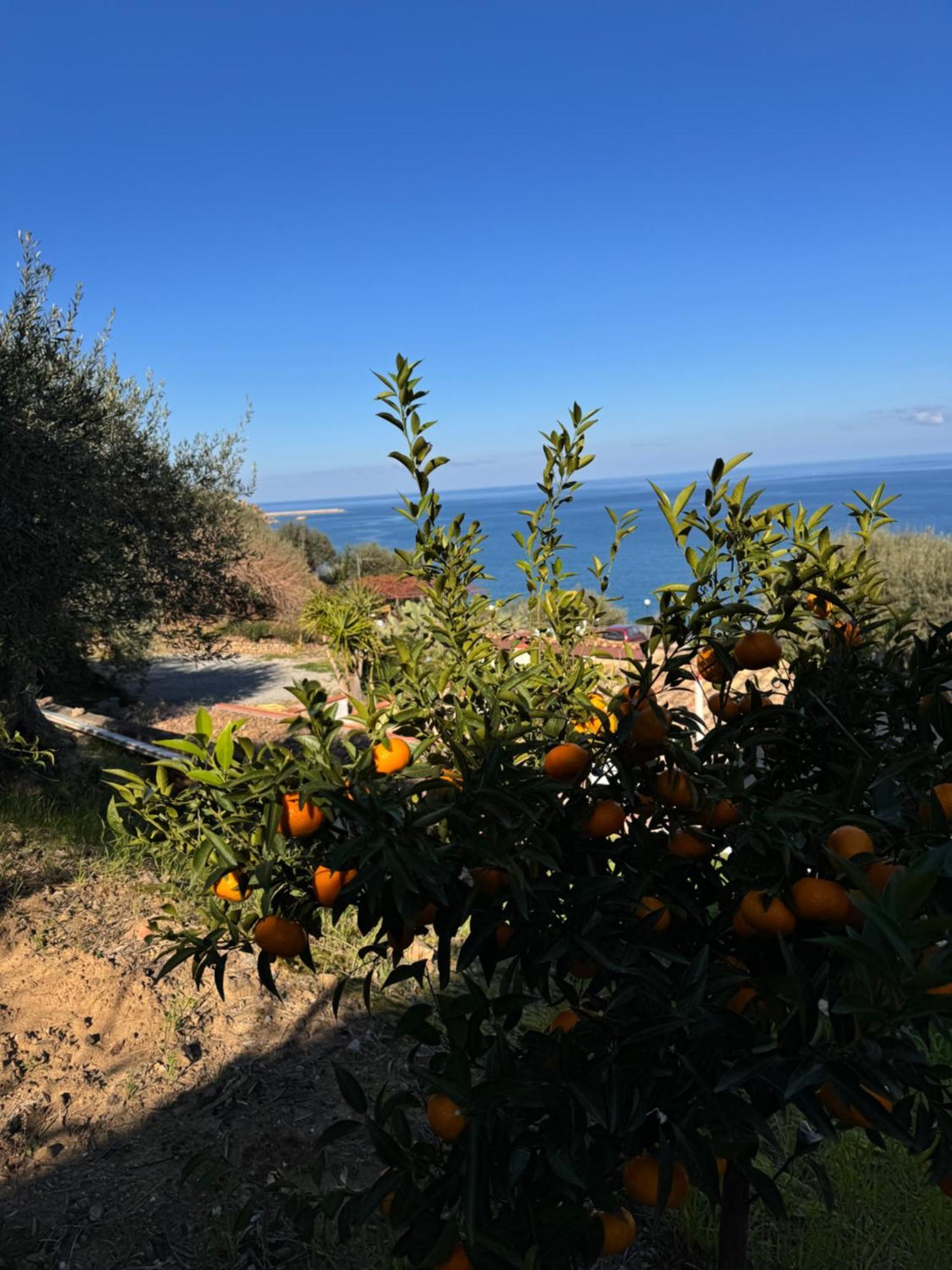 Mareblu Bed and Breakfast Cefalù Buitenkant foto
